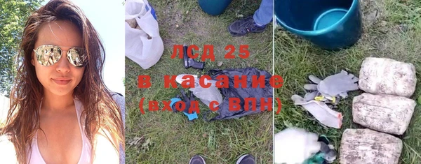 ГАЛЛЮЦИНОГЕННЫЕ ГРИБЫ Пересвет