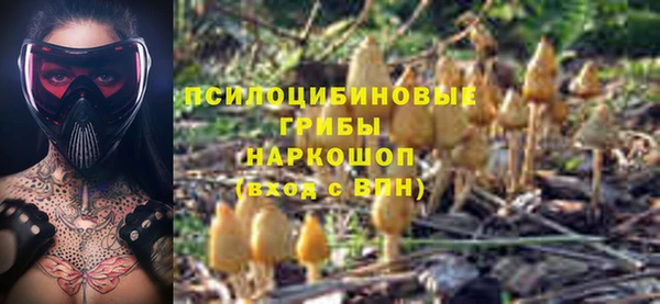 хмурый Алзамай