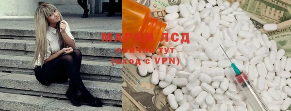 хмурый Алзамай