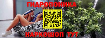 индика Жуковский