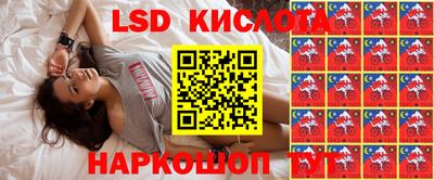 индика Жуковский