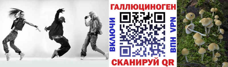 Псилоцибиновые грибы мицелий  наркошоп  гидра сайт  Павловский Посад 