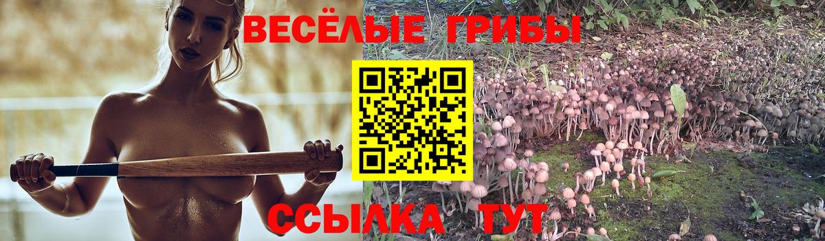 Псилоцибиновые грибы MAGIC MUSHROOMS Павловский Посад