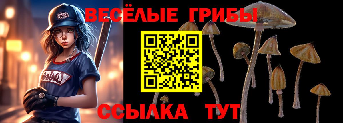 Галлюциногенные грибы Psilocybe  Псилоцибиновые грибы GOLDEN TEACHER  Вход с VPN  цена   Павловский Посад 